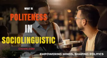 Understanding Politeness: Sociolinguistic Perspectives on Communication and Respect