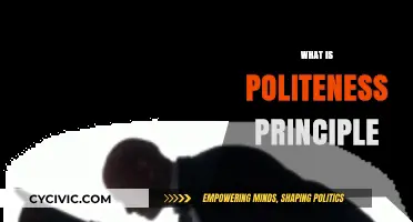 Understanding the Politeness Principle: Enhancing Communication with Tact and Respect