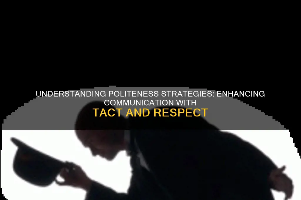 what is politeness strategies