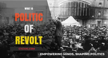 Understanding the Politic of Revolt: Causes, Strategies, and Societal Impact