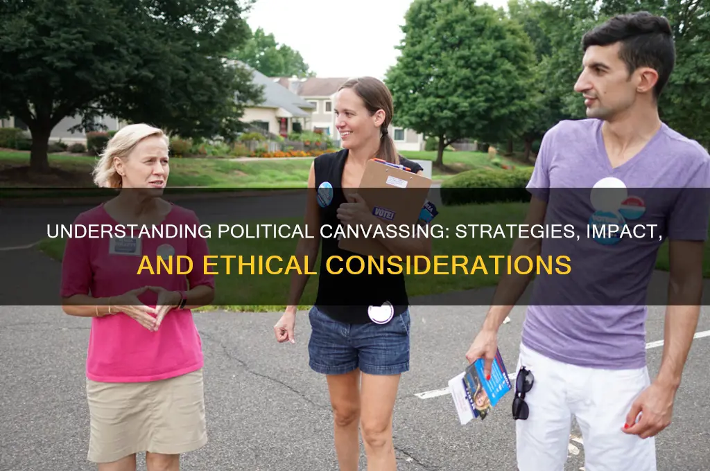 what is politica canvassing
