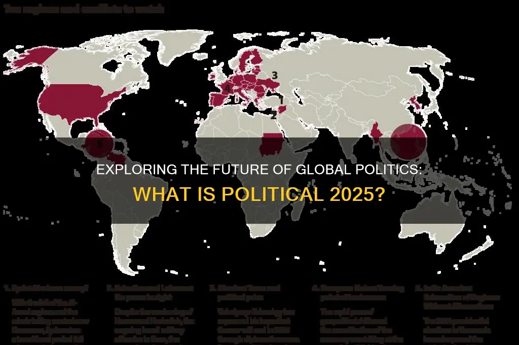 what is political 2025