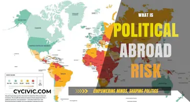 Understanding Political Abroad Risk: Threats, Impacts, and Mitigation Strategies