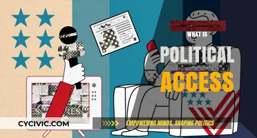 Understanding Political Access: Power, Influence, and Democratic Participation Explained