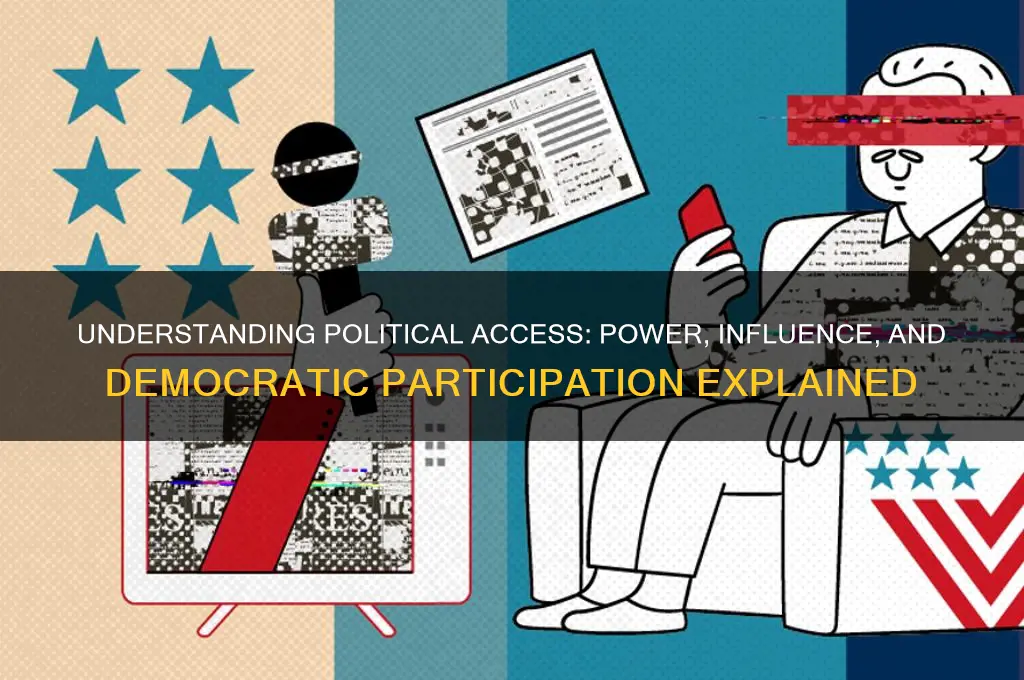 what is political access