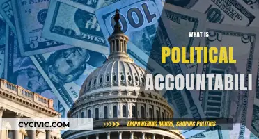 Understanding Political Accountability: Responsibilities, Transparency, and Citizen Oversight