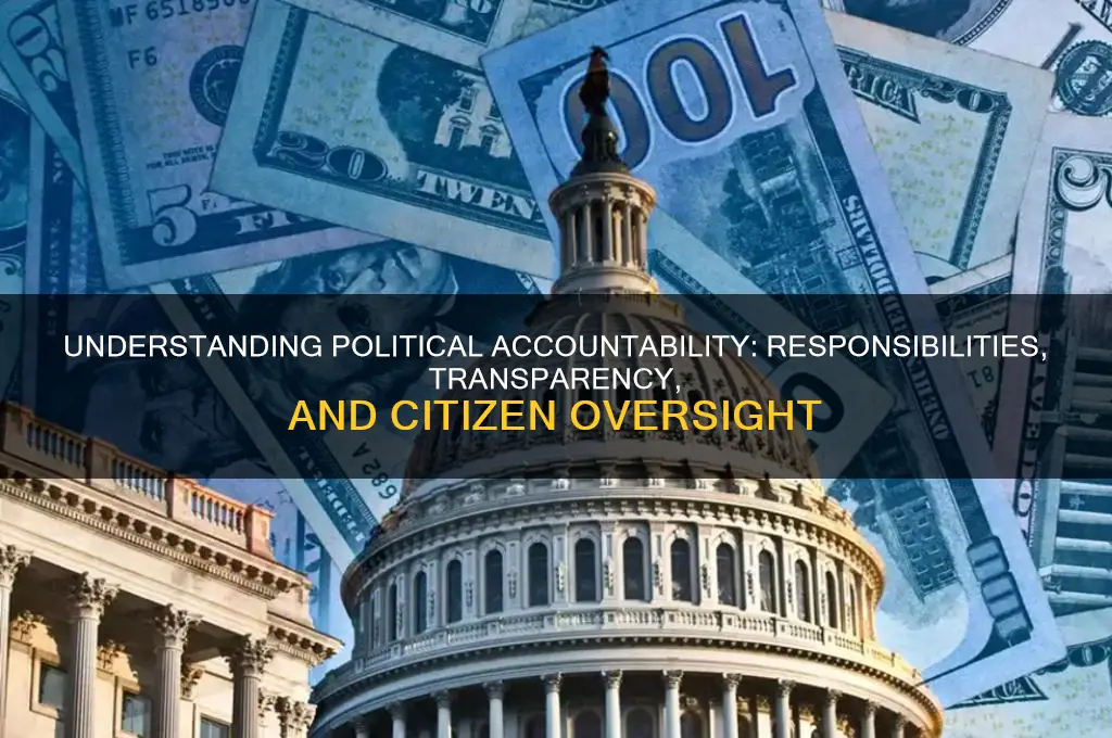 what is political accountability