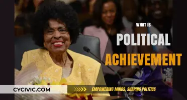 Understanding Political Achievement: Impact, Legacy, and Societal Transformation