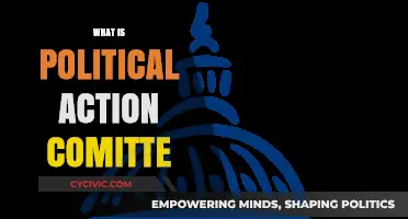 Understanding Political Action Committees: Their Role and Impact in Politics