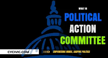 Understanding Political Action Committees: Role, Influence, and Impact Explained