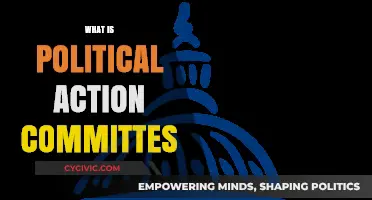 Understanding Political Action Committees: Influence, Funding, and Role in Politics