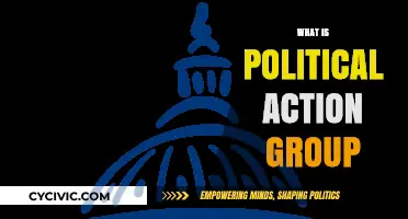 Understanding Political Action Groups: Roles, Impact, and Influence Explained