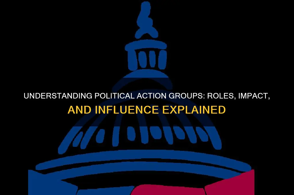 what is political action group
