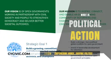 Understanding Political Action: Strategies, Impact, and Civic Engagement Explained