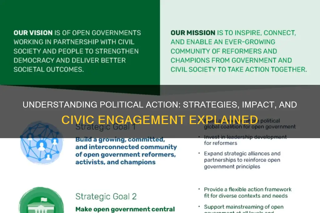 what is political action