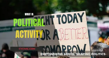 Political Activity: What It Is and Why It Matters