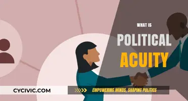 Understanding Political Acuity: Navigating Complexities in Modern Governance