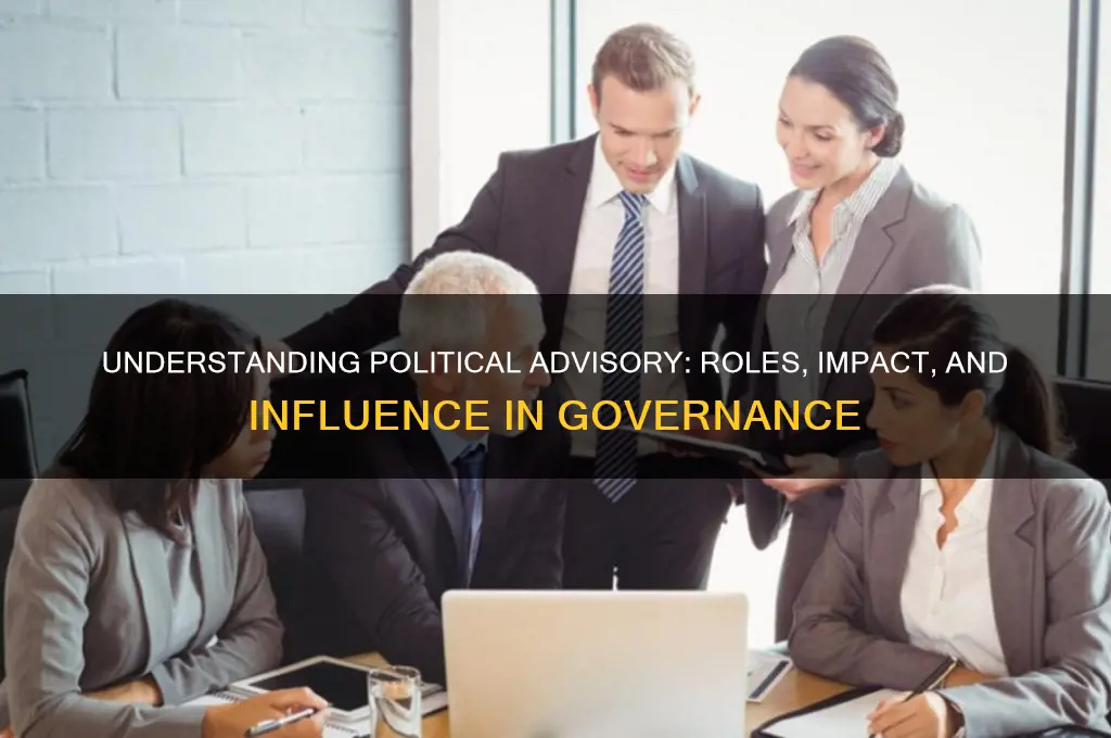 what is political advisory