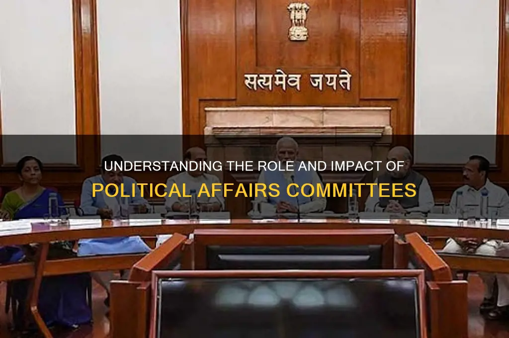 what is political affairs committee