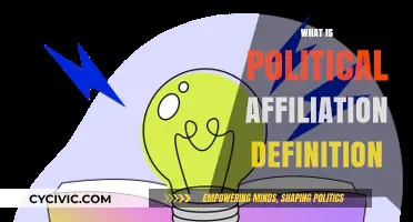 Understanding Political Affiliation: A Comprehensive Definition and Analysis