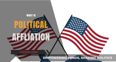 Understanding Political Affiliation: Exploring Party Loyalty and Ideological Alignment
