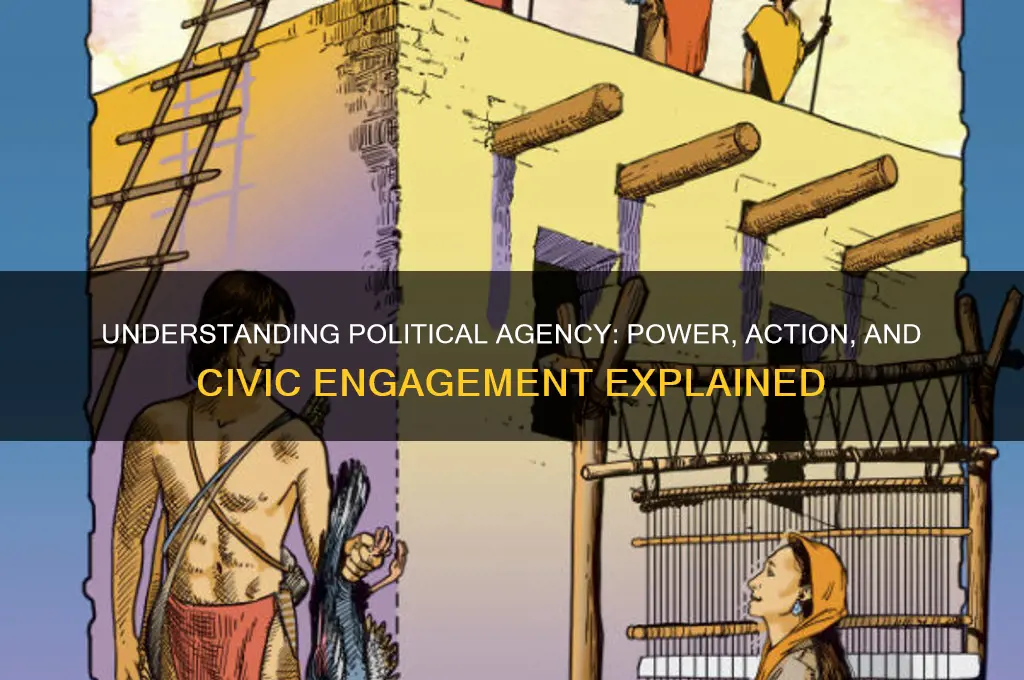 what is political agency