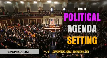 Understanding Political Agenda Setting: Power, Priorities, and Public Policy Shaping