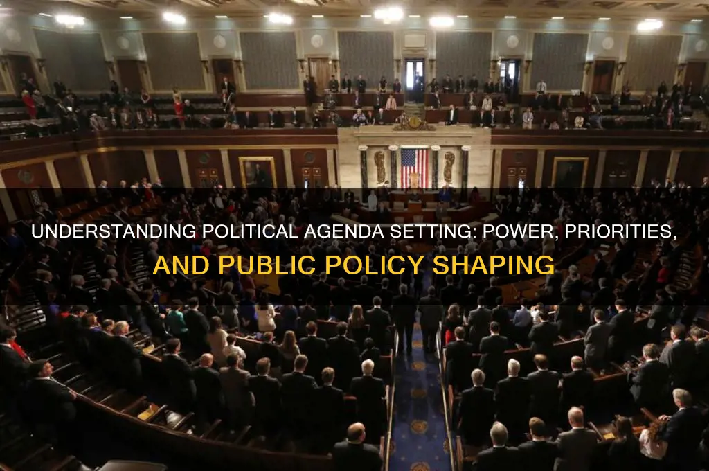what is political agenda setting