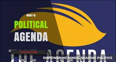 Understanding Political Agendas: Goals, Strategies, and Societal Impact Explained