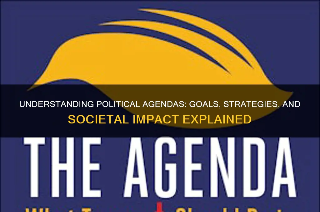 what is political agenda