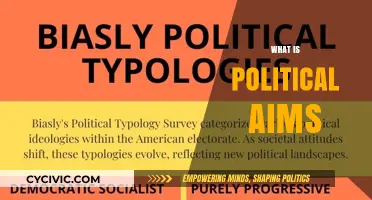 Understanding Political Aims: Goals, Strategies, and Societal Impact Explained