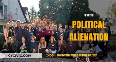 Understanding Political Alienation: Causes, Effects, and Societal Implications