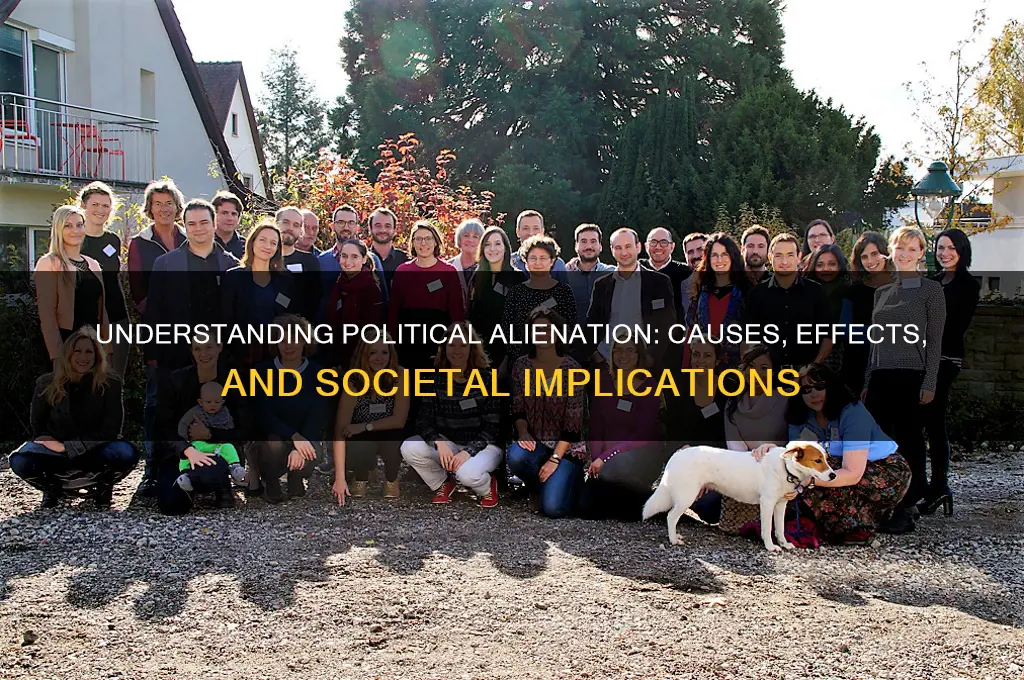 what is political alienation