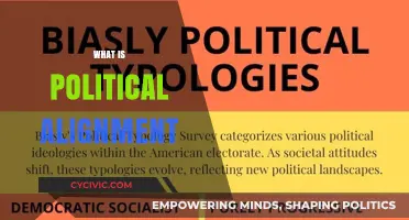 Understanding Political Alignment: Ideologies, Beliefs, and Their Impact on Society