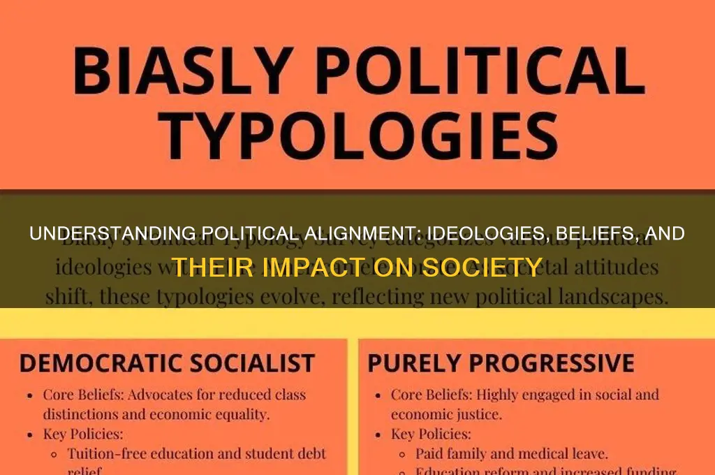 what is political alignment