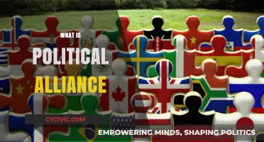 Understanding Political Alliances: Strategies, Formation, and Global Impact Explained