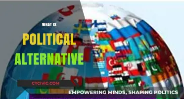 Exploring Political Alternatives: Beyond Traditional Systems and Ideologies