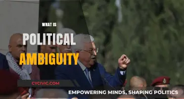 Understanding Political Ambiguity: Navigating Unclear Policies and Strategies