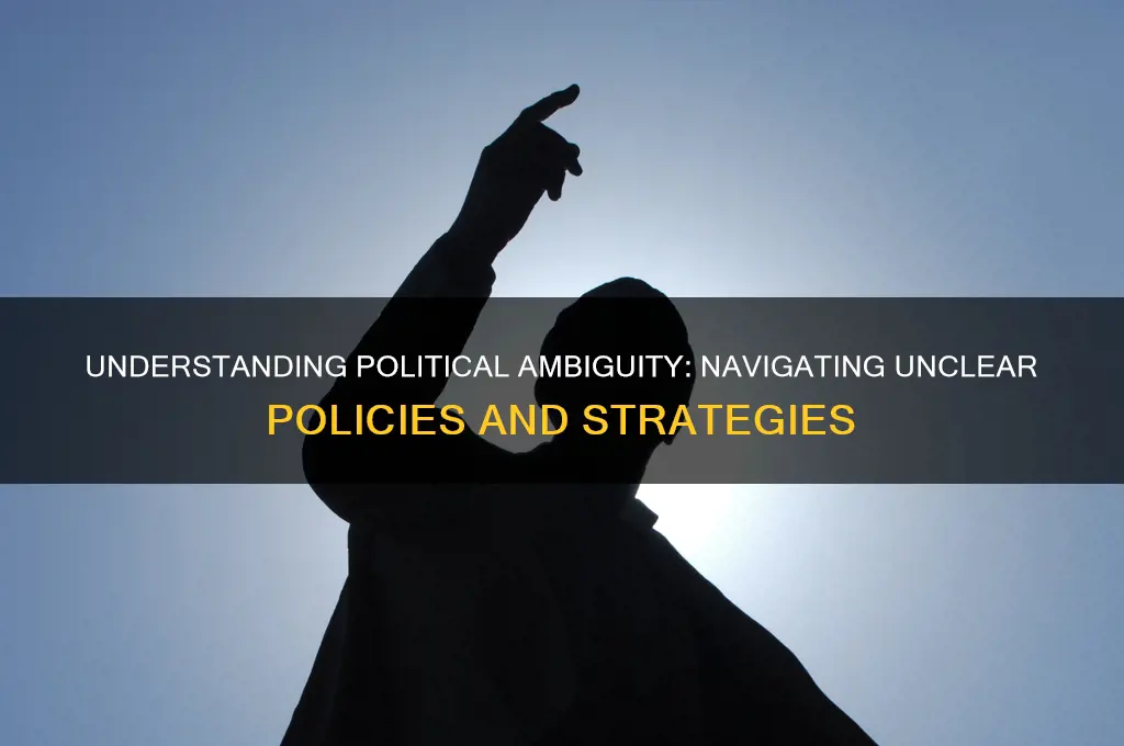 what is political ambiguity