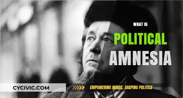 Understanding Political Amnesia: How Societies Forget Their Past Struggles