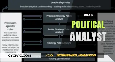 Understanding the Role of a Political Analyst: Insights and Expertise