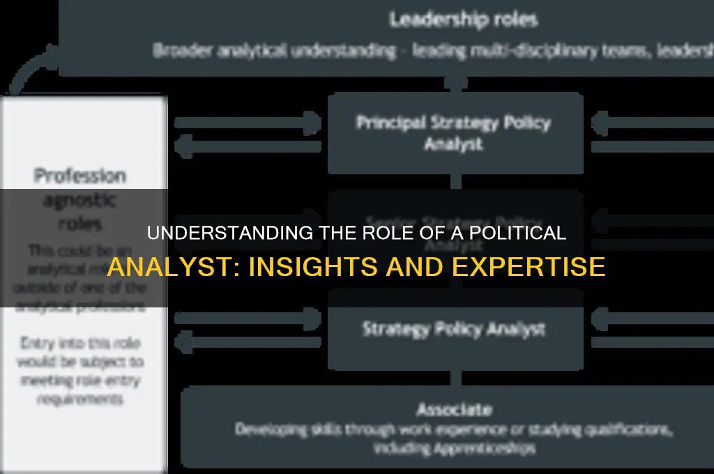 what is political analyst