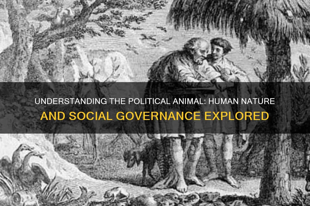 what is political animal