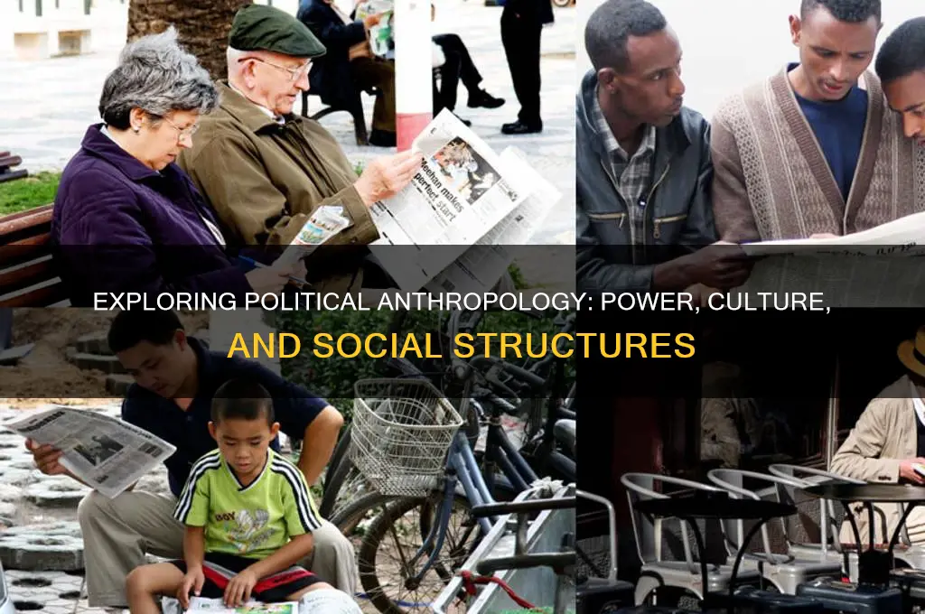 what is political anthropology