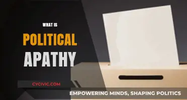 Understanding Political Apathy: Causes, Consequences, and Civic Disengagement Explained