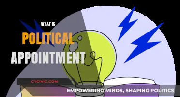 Understanding Political Appointments: Roles, Process, and Impact Explained