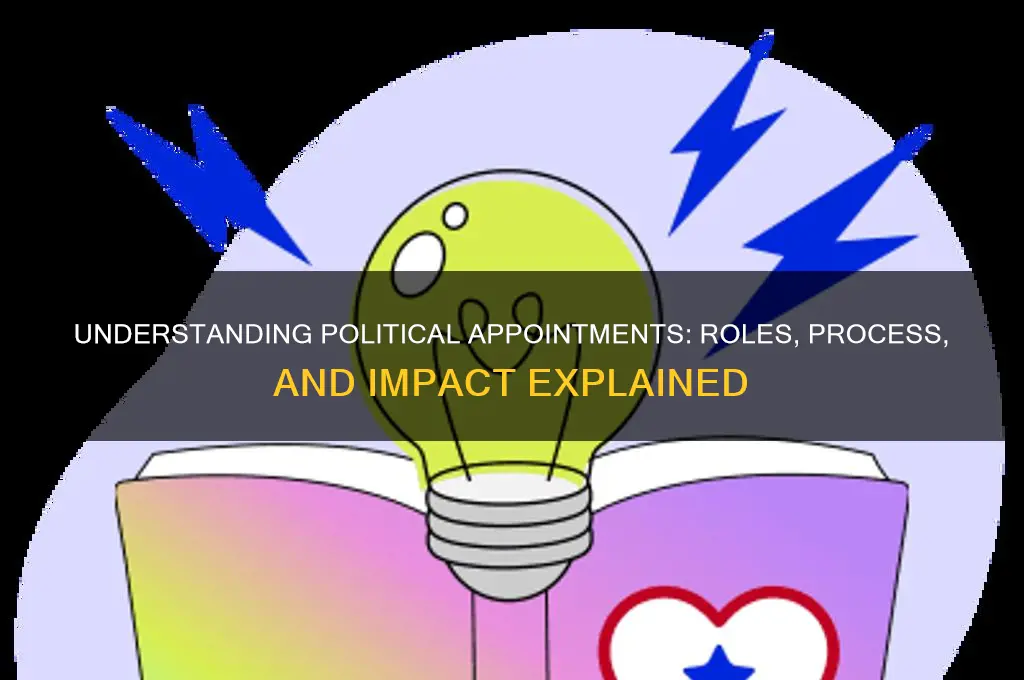 what is political appointment