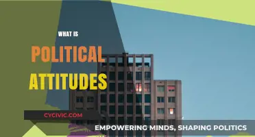 Understanding Political Attitudes: Shaping Beliefs, Behaviors, and Societal Impact