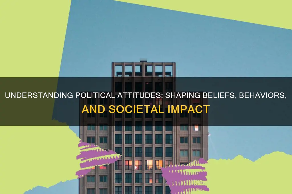 what is political attitudes