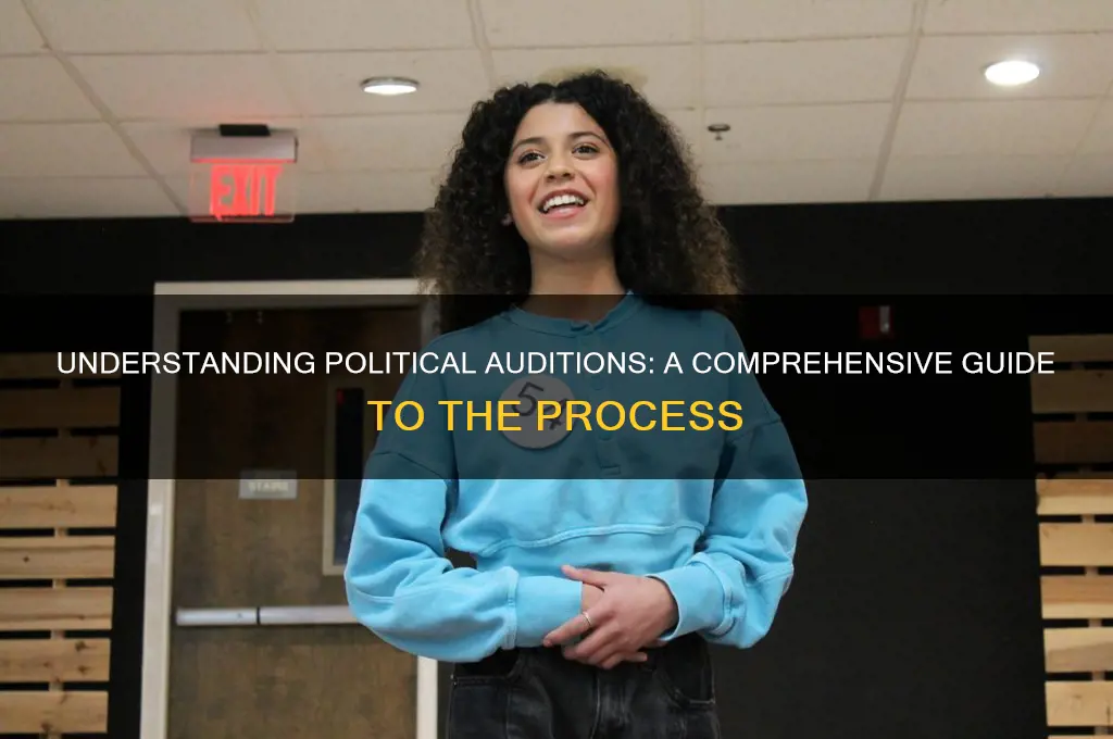 what is political audition